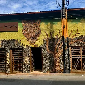  Hotel Refugio Del Jaguar